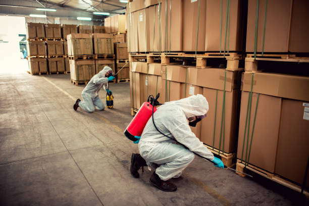 Pest Prevention Services in Gadsden, AL