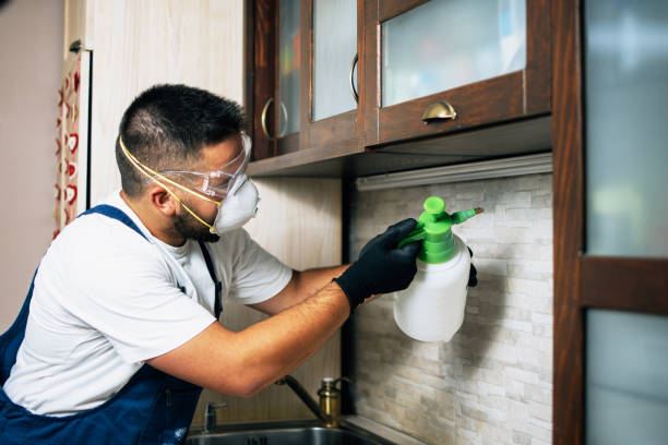 Best Emergency Pest Control  in Gadsden, AL