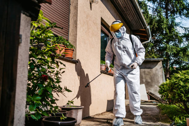 Best Flea Control Services  in Gadsden, AL