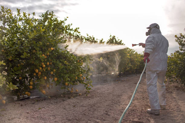 Best Ant Control Services  in Gadsden, AL