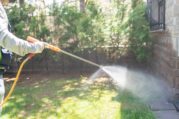 Best Wasp Removal Services  in Gadsden, AL