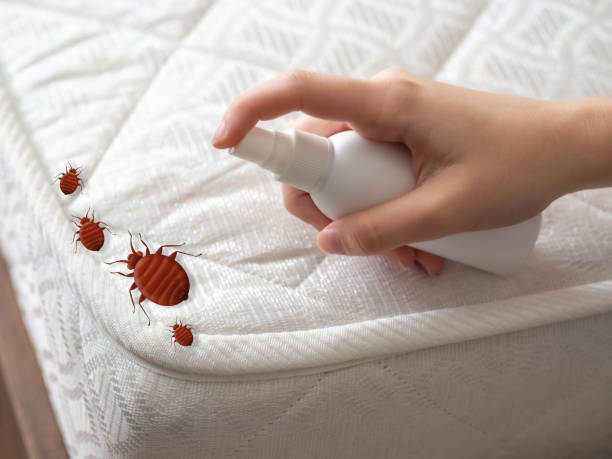 Best Local Pest Control Services  in Gadsden, AL