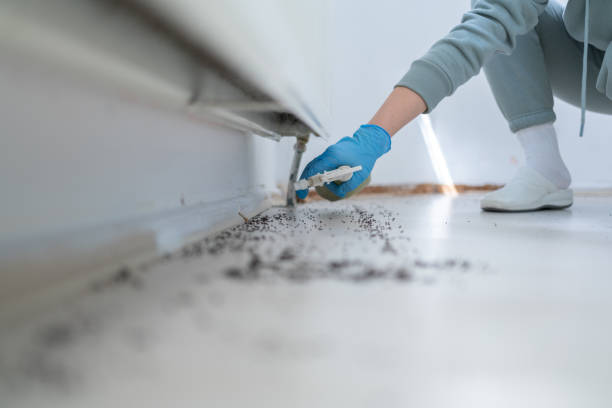 Best Pest Prevention Services  in Gadsden, AL
